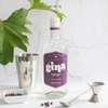 Gina - Patagonian Dry Gin - comprar online