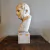 Busto de Marco Tulio Cicerón - comprar online