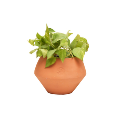 Maceta Ernestina - comprar en línea