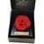 The Magic Rose Vermelha Luxo - loja online