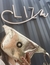 Riñonera Clara - Lizeme