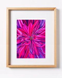 Dalia Fucsia B-13 - buy online