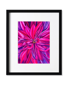 Dalia Fucsia B-13 - Agus Di Stefano