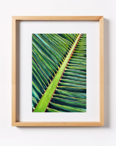 Hojas Tropicales B-12 - buy online