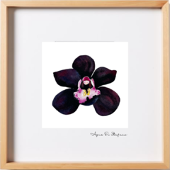 Orquídeas A-09 - online store