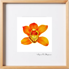 ORQUÍDEA A-01 - comprar online