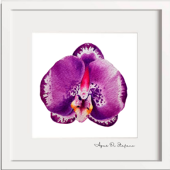 ORQUÍDEA A-02 - comprar online