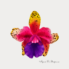 Orquídea A-05