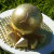 FORMA BWB SILICONE ESPECIAL BOLA - comprar online