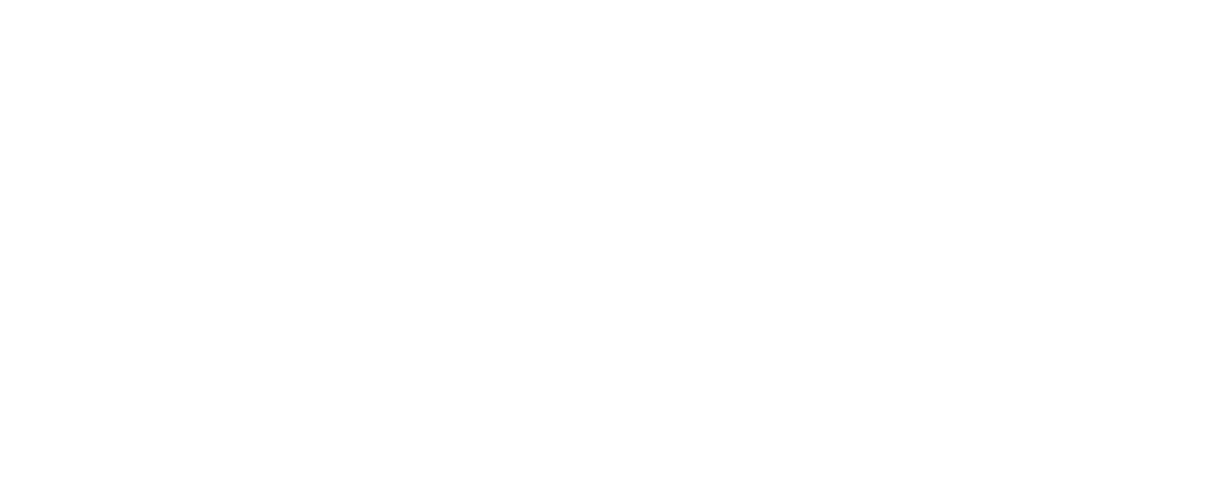 Neo Zenix