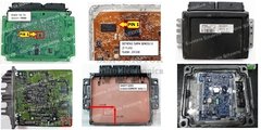 Base de Datos de Desinmovilización