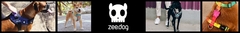 Banner de la categoría Zeedog