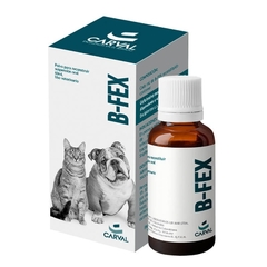 B-Fex Suspension Oral x 60Ml