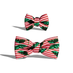 Corbatin para Perro ZeeDog Bali Bow Tie Small - comprar online