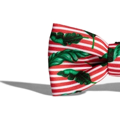 Corbatin para Perro ZeeDog Bali Bow Tie Small - MiMaskotica | Tienda para Mascotas
