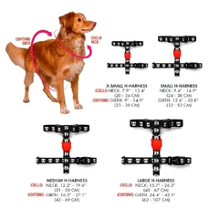 Arnes para Perro Zeedog Bali H-Harness Extra Small - MiMaskotica | Tienda para Mascotas