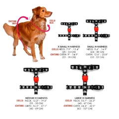 Arnes para Perro Zeedog Apache H-Harness Medium en internet