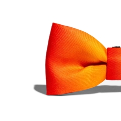 Corbatin para Perro ZeeDog Solaris Bow Tie Small - comprar online