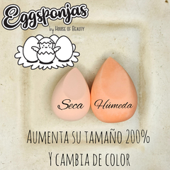 Eggsponja cambia color en internet