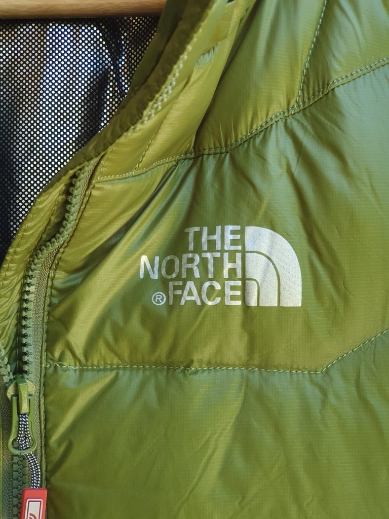 Este abrigo de The North Face es la prenda estrella otro invierno más:  Bella Hadid y Kendall Jenner ya lo tienen - Bekia Moda