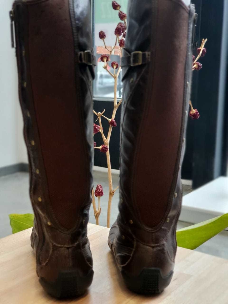 BOTAS MUJER PUMA N°39 - Comprar en Yo me renuevo