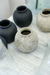 JARRON CANIS X3 - Profunda Decoracion