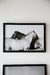 CUADRO LUPE 30X45 en internet