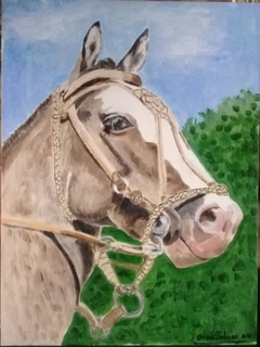 GAUCHO   40,60 x 30,5 cm acrílicos sobre panel