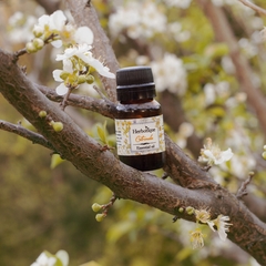 CITRONELLA. Aceite esencial