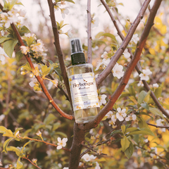 "Mañanas silvestres" perfume natural