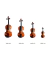 El precio de un violin General Music no varia según los tamaños. 4 violines de mayor a menor tamaño.