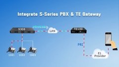 Gateway Yeastar E1 TE100 PRI - Liefrink