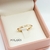 anillo