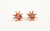 Topos Diamond Stars