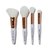 Rose Gold Travel Brush Kit - ELF
