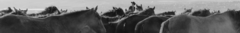 Banner de la categoría La Marquesa