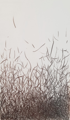 OBRA 14