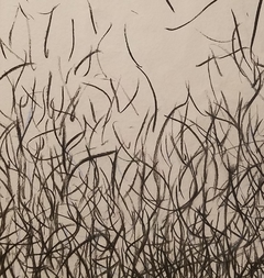 OBRA 14 en internet