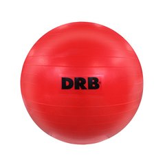Pelota de Gimnasia Ball Gym DRB Anti Burst 55 Cm - comprar online