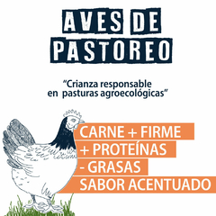 Pollos pastoriles agroecológicos doble pechuga por kilo