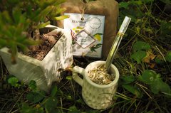 Yerba orgánica con hierbas medicinales "respirar" de Sano Mate en bolsa ecológica - comprar online
