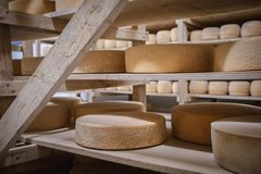 Queso Parmesano orgánico certificado Santo Padre horma x 3 kgs. (aprox). Precio x kg. en internet