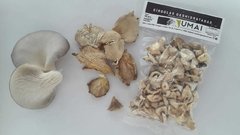 Gírgolas deshidratadas UMAI