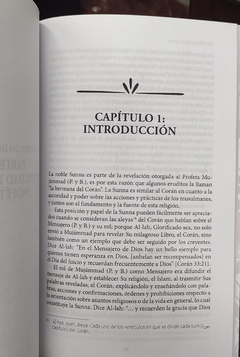 Libro Las Ciencias de la Sunna en internet
