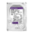 Disco Rígido HDD WD 8TB