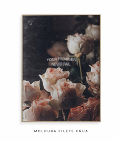 Promises - comprar online