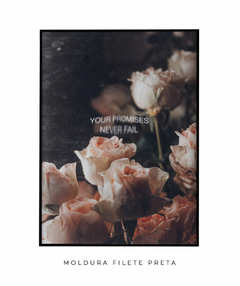 Promises