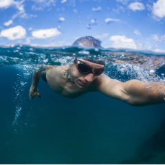 Gafas Zoggs natación Predator Flex Titanium Reactor en internet