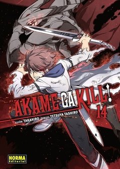 Akame ga Kill! - 14