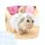 Taller Personalizado Sheep